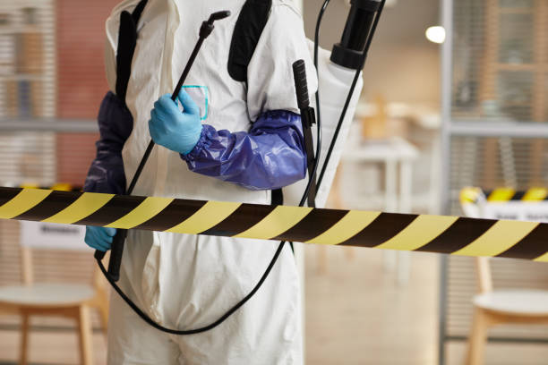 Professional Sewage Cleanup technician working in Graham, WA